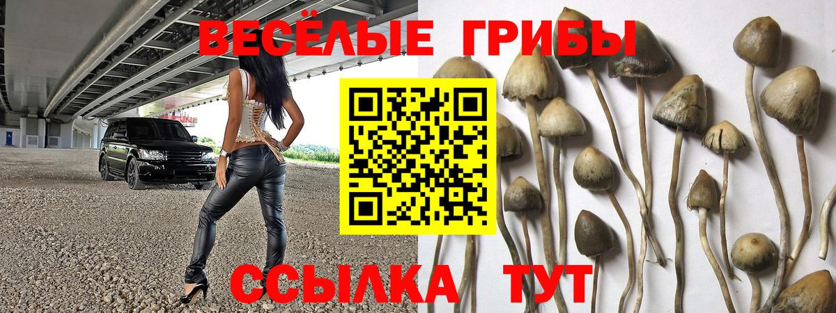 Галлюциногенные грибы Psilocybine cubensis  Вход с VPN  Всеволожск 